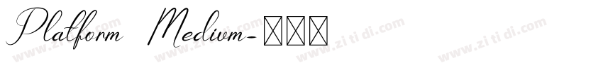 Platform Medium字体转换 Platform Medium字体转换